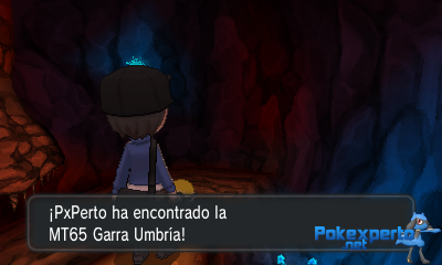 Gua Pokmon XY