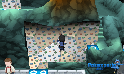 Gua Pokmon XY