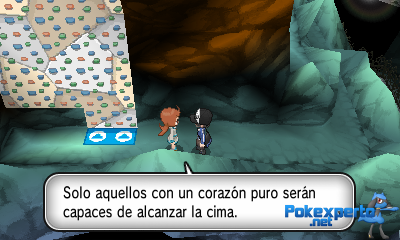 Gua Pokmon XY