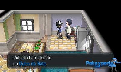 Gua Pokmon XY