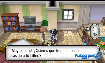 Gua Pokmon XY