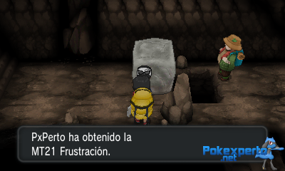 Gua Pokmon XY