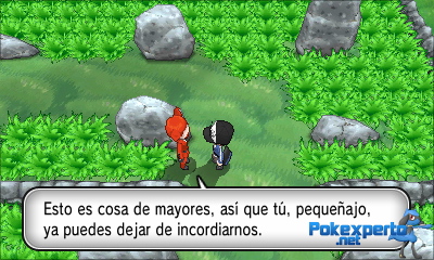 Gua Pokmon XY