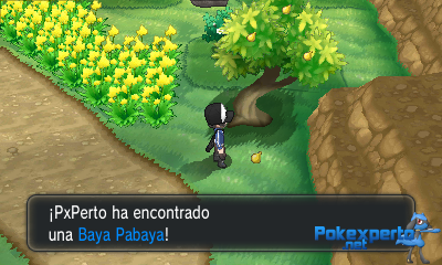 Gua Pokmon XY
