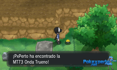 Gua Pokmon XY