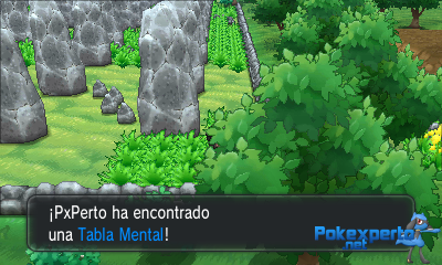 Gua Pokmon XY