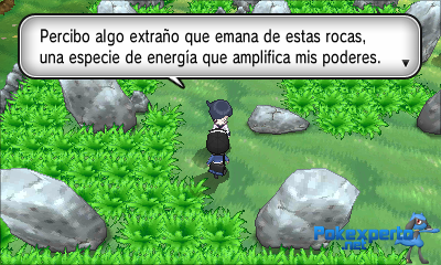 Gua Pokmon XY
