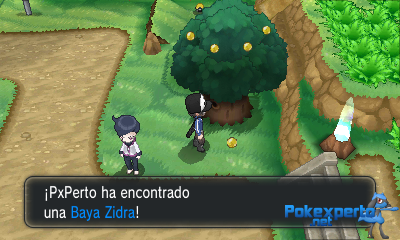 Gua Pokmon XY