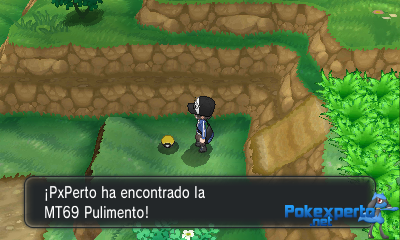 Gua Pokmon XY