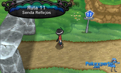 Gua Pokmon XY