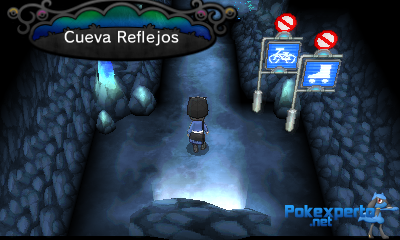 Gua Pokmon XY
