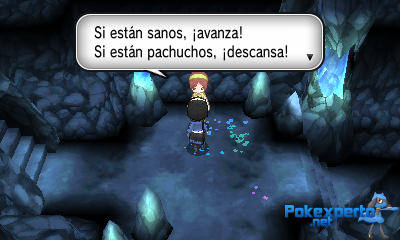 Gua Pokmon XY