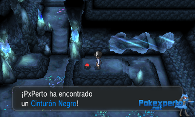 Gua Pokmon XY