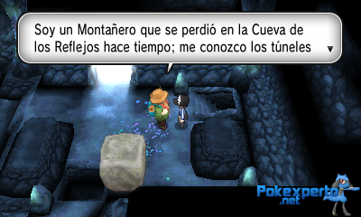 Gua Pokmon XY
