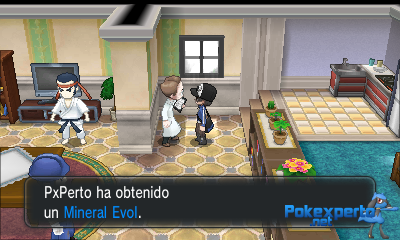 Gua Pokmon XY