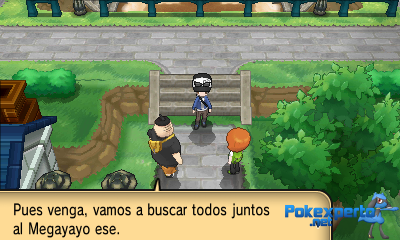 Gua Pokmon XY