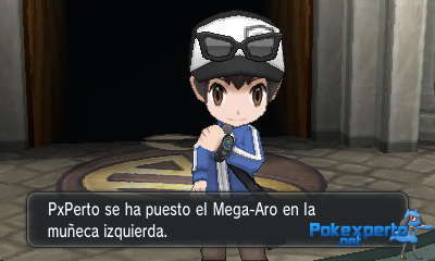 Gua Pokmon XY