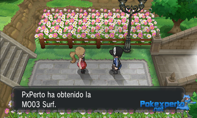 Gua Pokmon XY