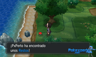 Gua Pokmon XY