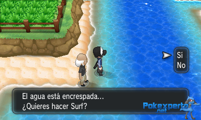 Gua Pokmon XY
