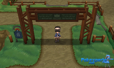 Gua Pokmon XY