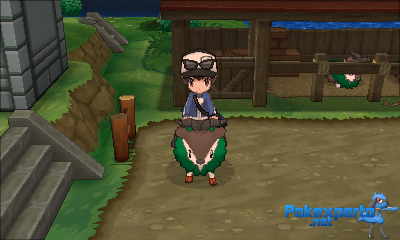 Gua Pokmon XY