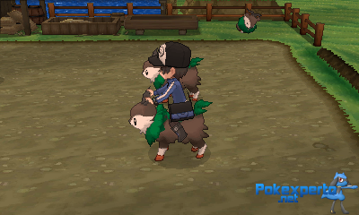 Gua Pokmon XY