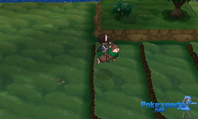 Gua Pokmon XY