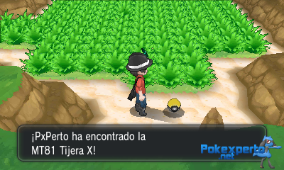 Gua Pokmon XY