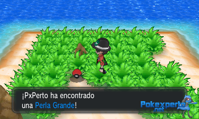 Gua Pokmon XY