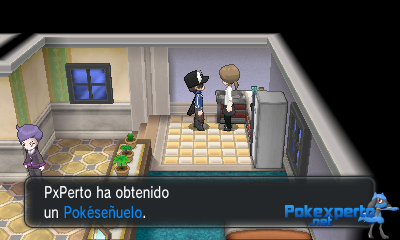 Gua Pokmon XY