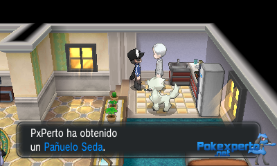 Gua Pokmon XY