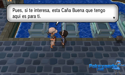 Gua Pokmon XY
