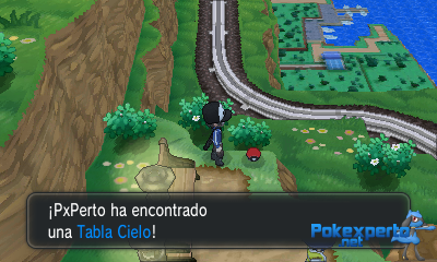Gua Pokmon XY