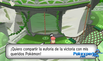 Gua Pokmon XY