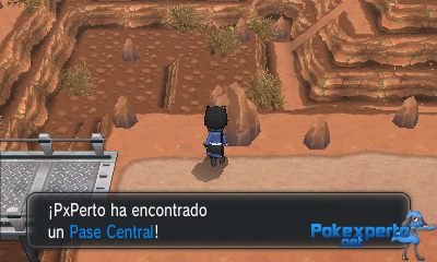 Gua Pokmon XY