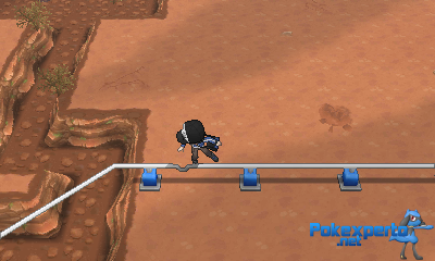 Gua Pokmon XY