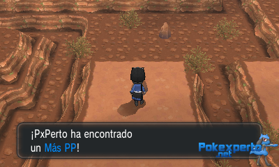Gua Pokmon XY