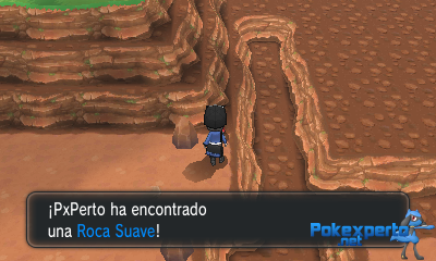 Gua Pokmon XY
