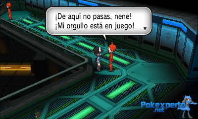 Gua Pokmon XY