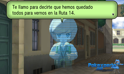 Gua Pokmon XY