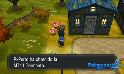 Gua Pokmon XY