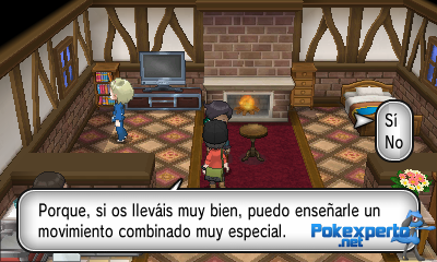 Gua Pokmon XY