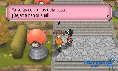 Gua Pokmon XY
