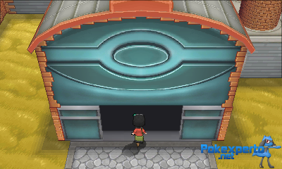 Gua Pokmon XY