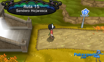 Gua Pokmon XY