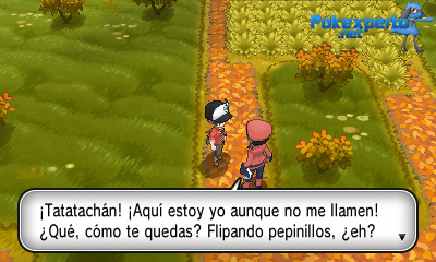 Gua Pokmon XY