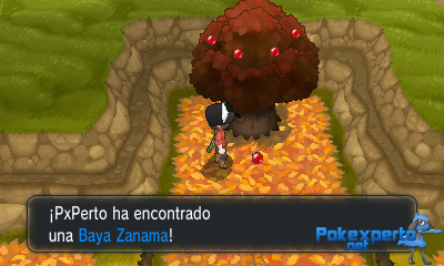 Gua Pokmon XY