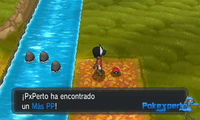 Gua Pokmon XY