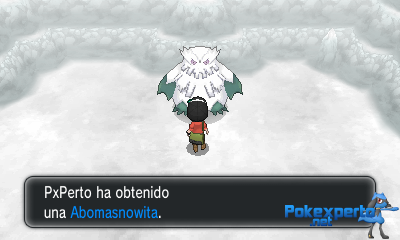 Gua Pokmon XY